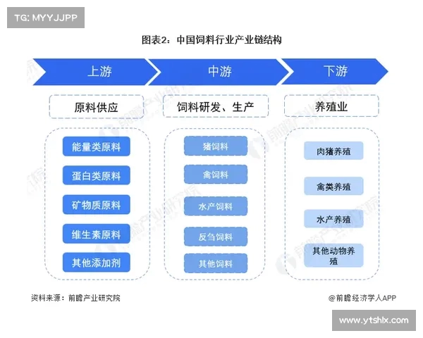 英超生态系统中的球队竞争格局与市场运作模式探析 英超生态系统中的球队竞争格局与市场运作模式探析