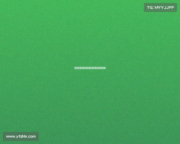 经验老将引领团队创新突破，共同书写辉煌篇章